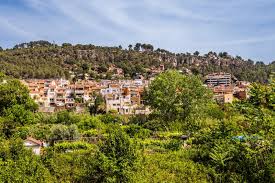 Fontanero La Palma de Cervelló calle con casas tradicionales y vegetación en un entorno tranquilo